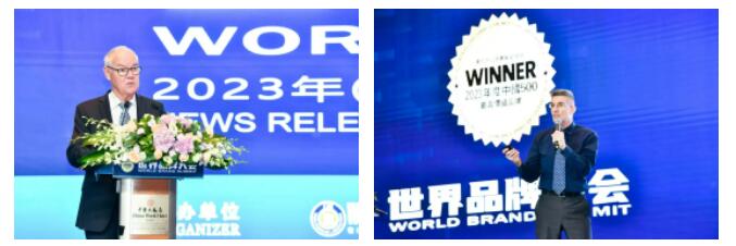 权威认证 星空(中国)入选中国500最具价值品牌