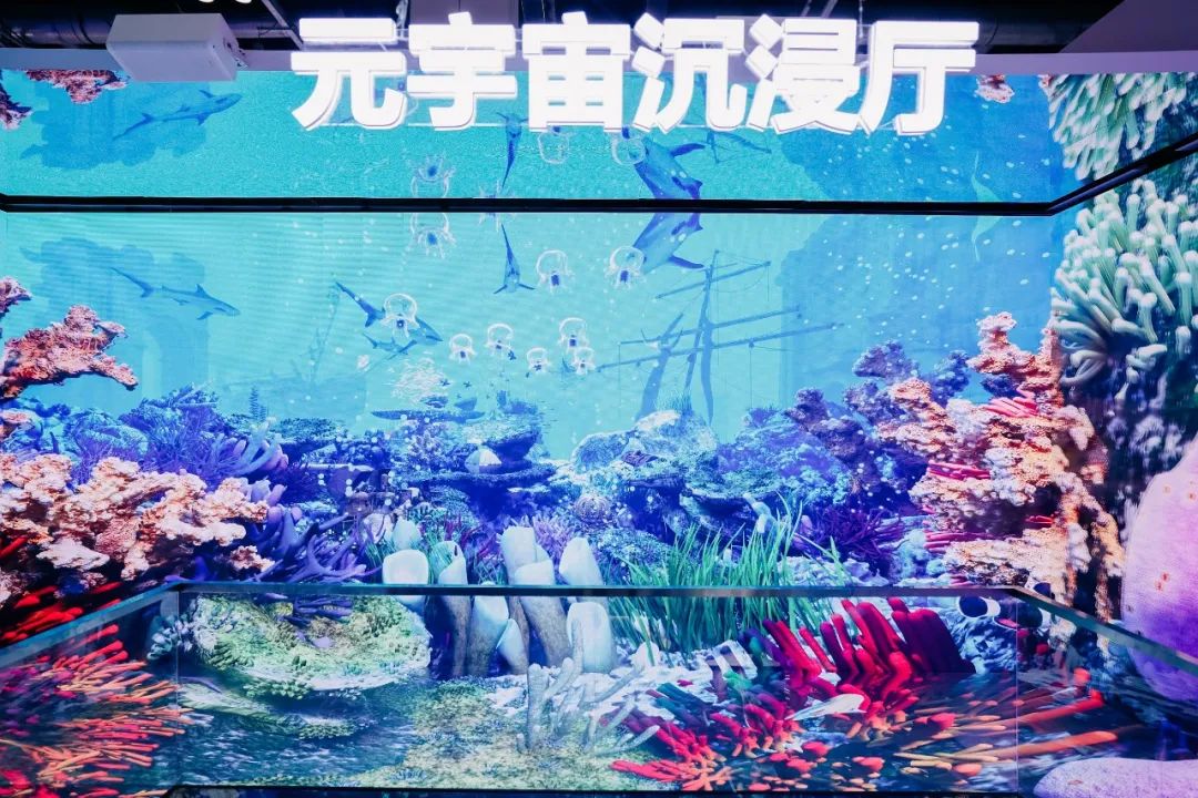 “AI+智能显示”引领未来 星空(中国)新品InfoComm展大放异彩