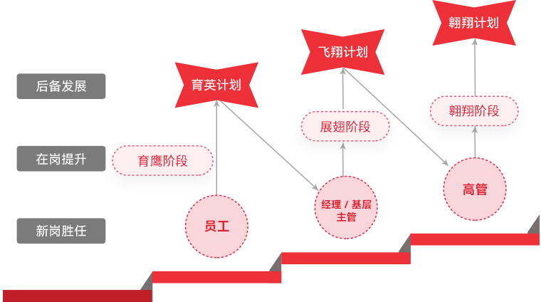 星空(中国) "雄鹰计划"人才梯队培养